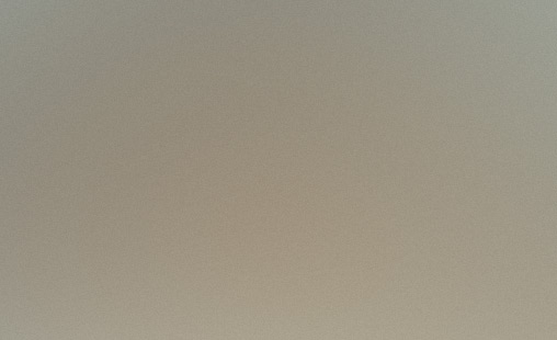 Guest Preference Learning